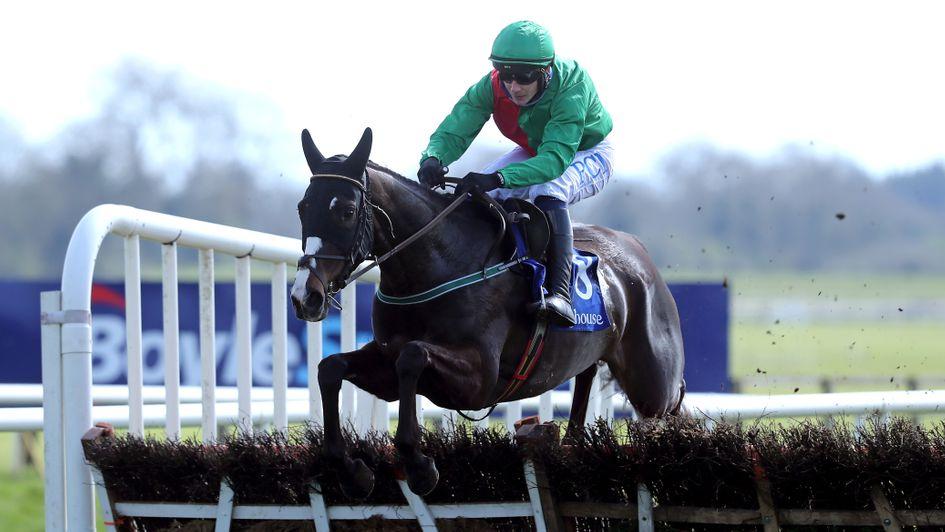 Grand National 2025 Runners 2
