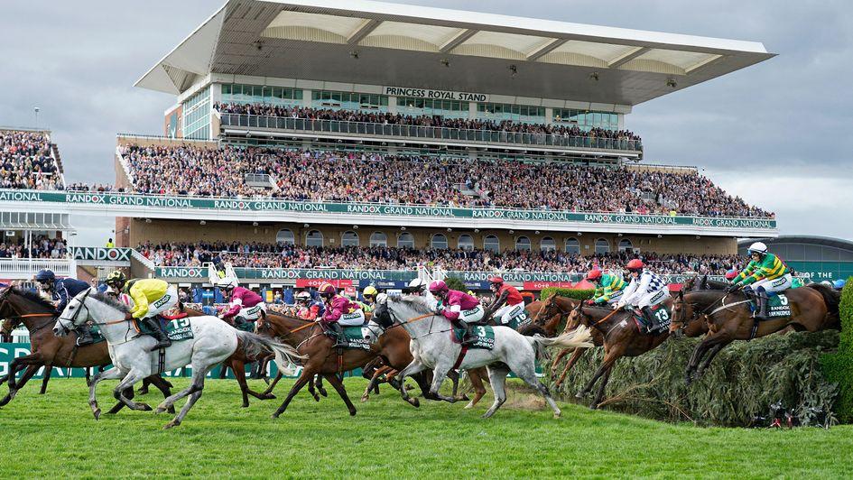 Grand National 2025 Runners
